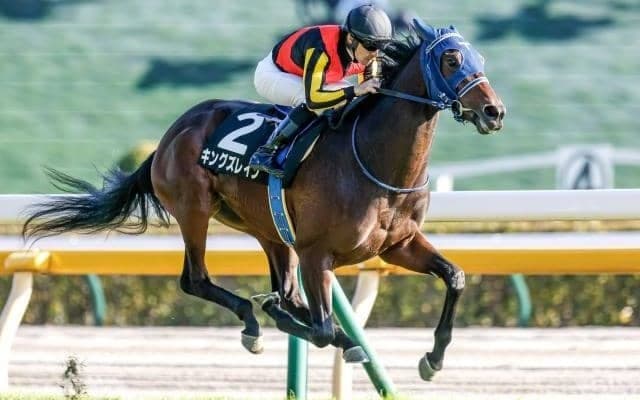 【今日の注目ポイント】中山で平地最長距離重賞ステイヤーズS、阪神でチャレンジC