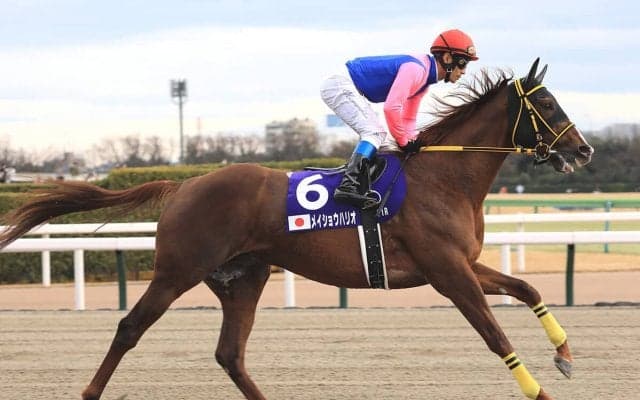 チャンピオンズＣは実力騎手騎乗の馬が構える２列目の後方で一発を目論む人気落ち実績馬に要注意