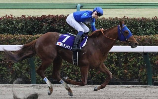 【チャンピオンズC】レモンポップは大外枠へ