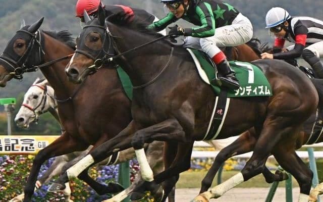 【ステイヤーズS予想】ゴール前の急坂を3度通過 タフな精神力が求められる最長距離戦