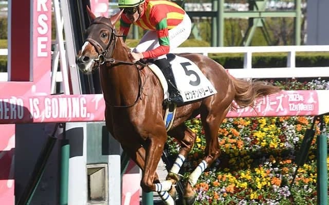 【阪神5R新馬戦結果】エピファネイア産駒のビザンチンドリームが豪快に差し切りV！