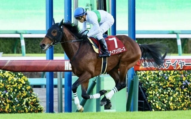 【ステイヤーズS】アイアンバローズが3度目の正直！鮮やかな逃げ切りで重賞初制覇