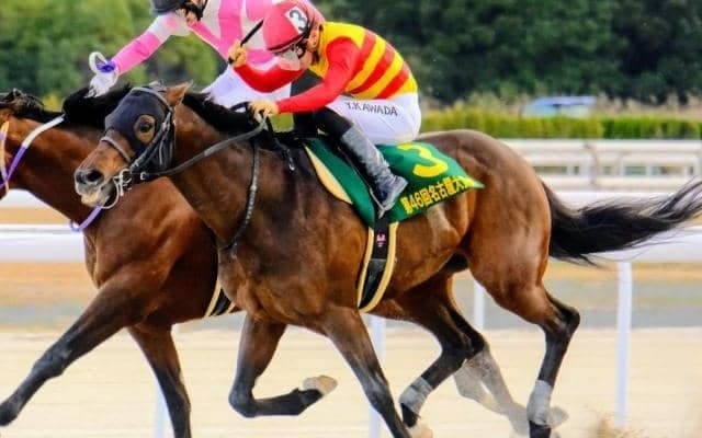 中京ダートはディープインパクト系が絶好調 キズナ産駒のハギノアレグリアスが軸だ