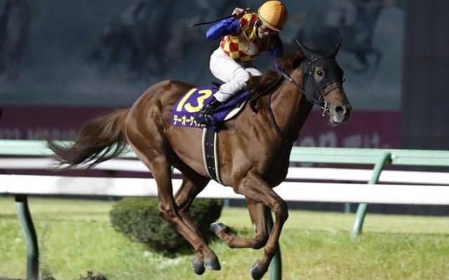 【AI予想・チャンピオンズC】幅広い年齢の馬が活躍するも高期待値は6歳馬！ 本命馬には引退前のもう一花を期待