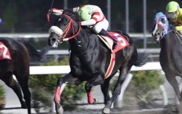 【高知・キセキ賞】ロイズピークが勝負根性を発揮して差し返す