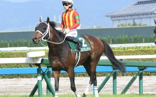 【チャンピオンズC予想】下半期のJRAダート王決定戦