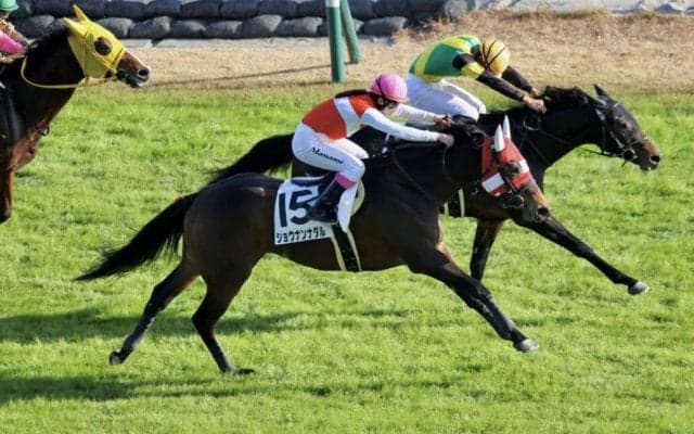 【中京9R】永島まなみが波乱を演出…11番人気ショウナンナダルで差し切る