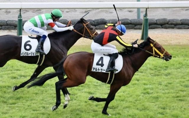 【新馬/中京5R】ムルザバエフ騎乗、アルトゥームが大外からねじ伏せる