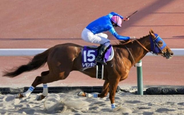 【チャンピオンズC】レモンポップがG1・3勝目…ダート王者の力を見せる