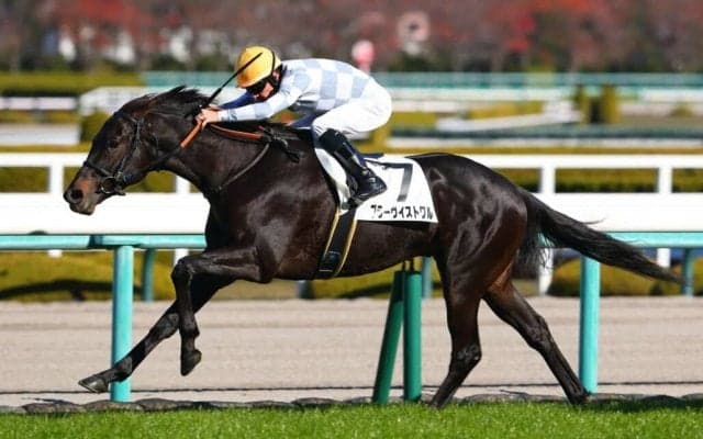 【阪神4R】ルメール騎乗、ブラーヴイストワルが鮮やかに逃げ切る