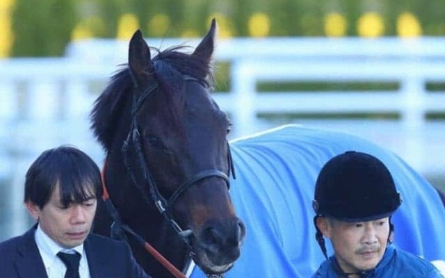 【阪神4R】ルメール「伸び代たくさんある」1番人気ブラーヴイストワルが逃げ切る