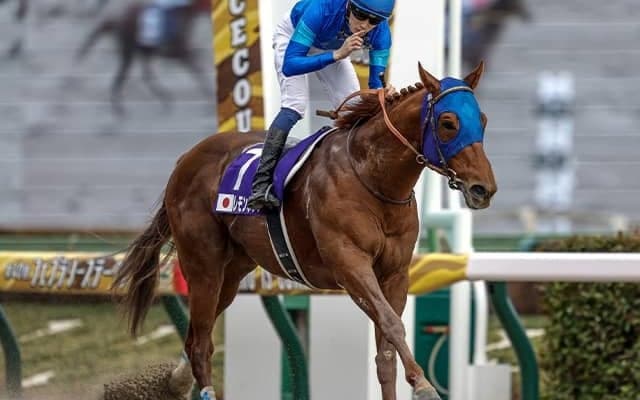 【チャンピオンズC】レモンポップが逃げ切りV！ JRAダートGI春秋制覇達成！