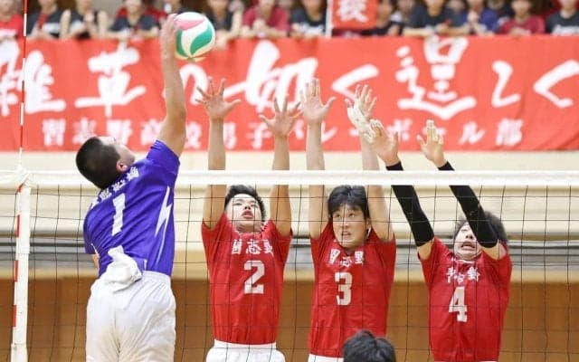 春高バレー　アベック出場の千葉・習志野、男女とも２回戦から