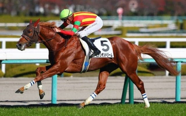 【新馬/阪神5R】エピファネイア産駒 ビザンチンドリームが3馬身差完勝