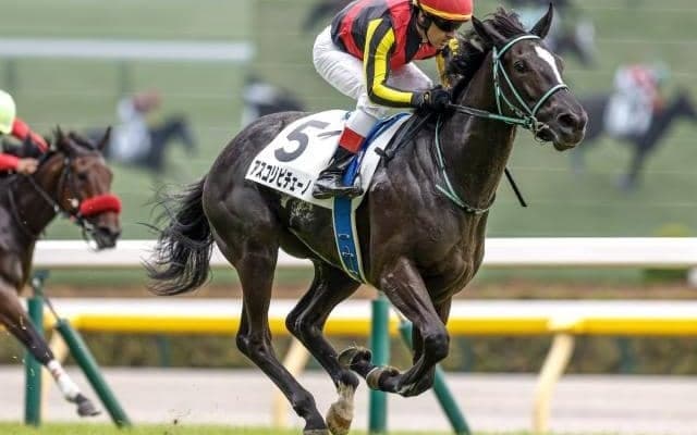 2歳女王決定戦・阪神JFなど3重賞、日曜は2023香港国際競走/今週の競馬界の見どころ