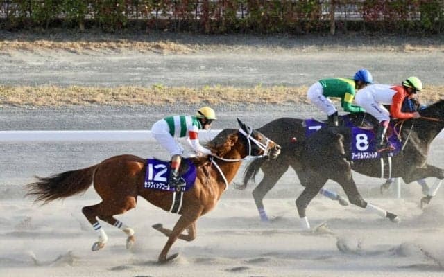 【チャンピオンズC】デムーロ「思ったほど伸びなかった」レース後ジョッキーコメント