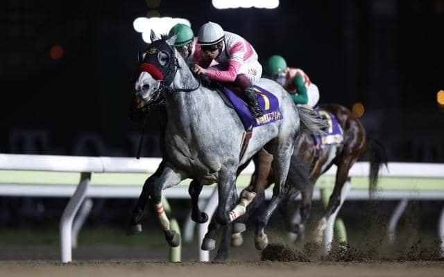 【カペラS見どころ】リュウノユキナのJRA重賞初制覇なるか