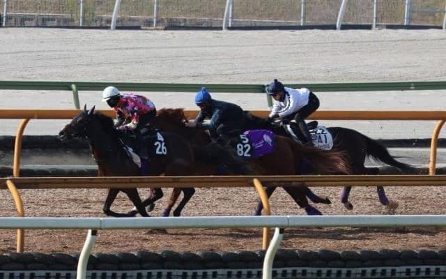 母は18年の米2歳女王 3億円馬ストーンズが初陣/関西馬メイクデビュー情報