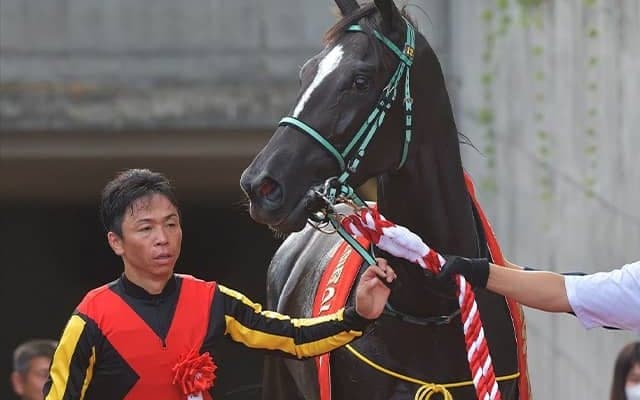 ベテラン北村宏司騎手がキタサンブラック以来のGI制覇へ 無傷の重賞ウイナーと阪神JF参戦