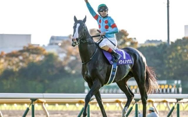 イクイノックスの種牡馬としての可能性を血統評論家が徹底分析！ 良血牝馬との組み合わせも期待大