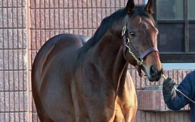 ミッキーアイルが24年シーズンを過ごす優駿SSへ移動