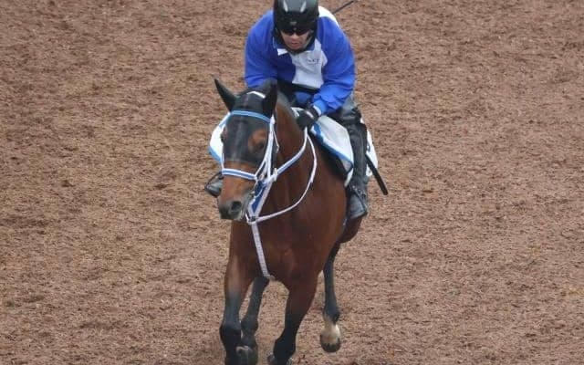 キングズソードなど、先週の入厩情報/栗東トレセンニュース