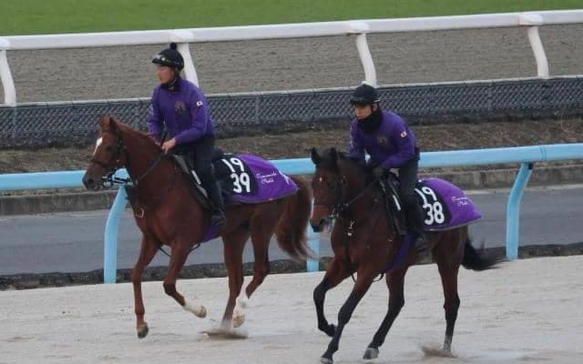 マンデラの2021(フリーダムレイン)など、先週のゲート試験/栗東トレセンニュース