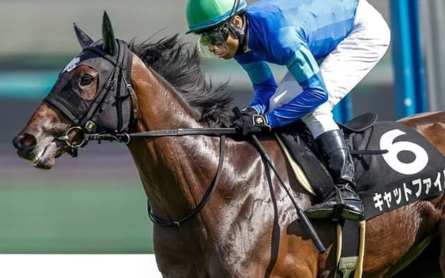 前走5馬身差の圧巻2歳レコードV 砂血統の注目株が阪神JF制覇狙う