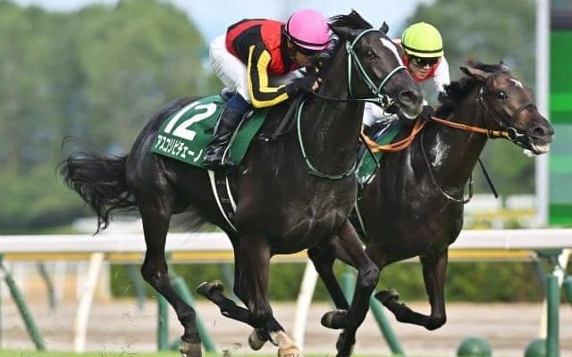 【阪神JF展望】距離実績があり、ゆとりのあるローテーションが理想