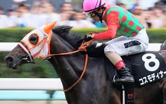 4代母は泥だらけの“桜の女王” クローバー賞の覇者が阪神マイルで波乱呼ぶ