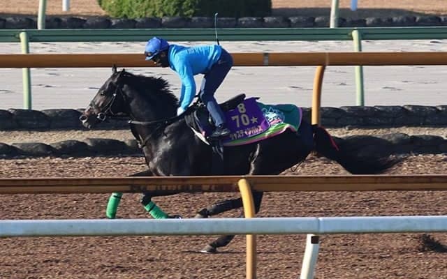 ジャスティンパレス、有馬記念2週前追い切り速報/栗東トレセンニュース