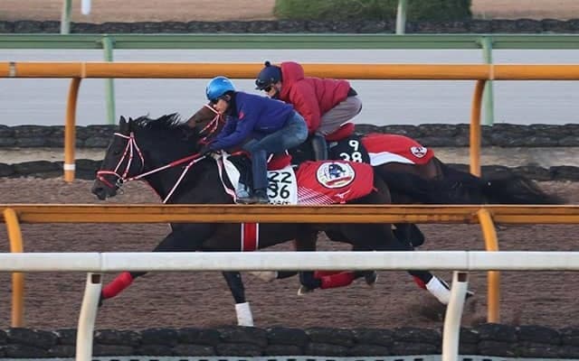 フォーエバーヤング、全日本2歳優駿追い切り速報/栗東トレセンニュース