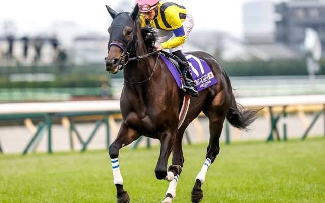 【有馬記念想定】スターズオンアースやスルーセブンシーズ、タイトルホルダーなど17頭