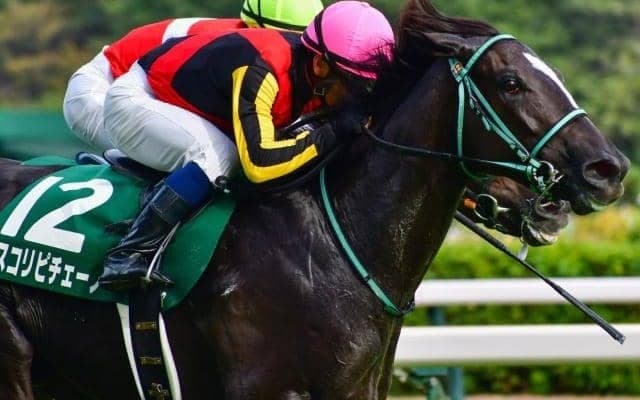 阪神マイルはダイワメジャー産駒の“十八番”  阪神JFで本領発揮となるか