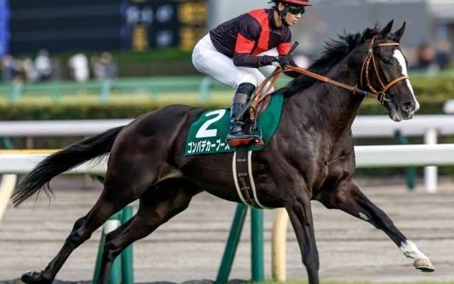 【ホープフルS想定】ゴンバデカーブース、シンエンペラーなど16頭