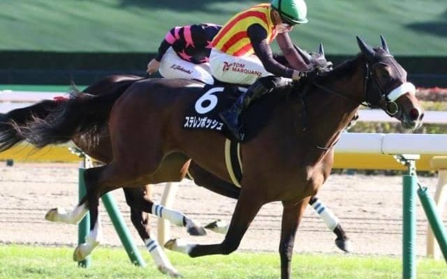 アーモンドアイも応援!? 阪神JFに国枝栄厩舎×ルメール騎手の最強タッグ参戦