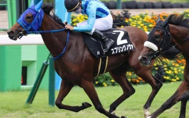 31年ぶりの偉業なるか 阪神JFに小さな根性娘がエントリー