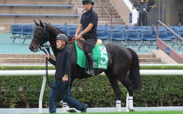 香港ヴァーズ出走予定のシャフリヤール取消 メディカルチェックで異常を確認