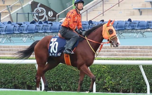 【香港マイル 枠順確定】ナミュール＆W.ビュイック騎手は12番ゲート、セリフォス＆川田騎手は4番ゲート