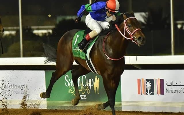 パンサラッサの種付料は300万円 海外G1を2勝のロードカナロア産駒