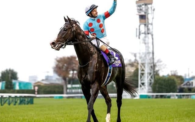イクイノックスの引退式を12月16日に中山競馬場で実施 YouTubeなどで生配信