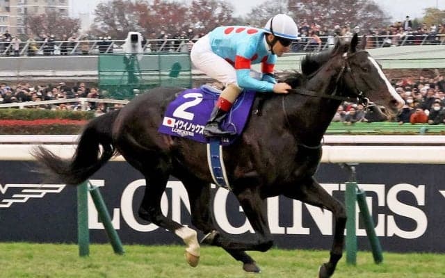 種牡馬イクイノックスは「無限大の可能性」　初年度種付料はディープ超えの2000万円でスタッドイン