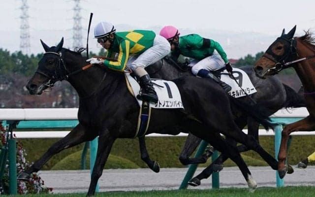 【新馬/阪神5R】サトノクラウン産駒 サトノエンパイアがゴール前で抜け出す