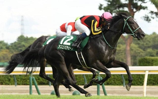 阪神JFを血統から分析　過去の好走馬と「血統の共通点」が多い２頭に期待