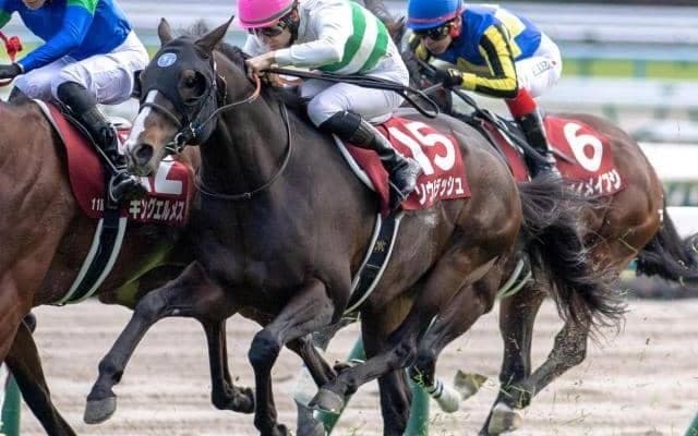 父ルーラーシップが輝いた香港に初見参 ソウルラッシュが待望のGI獲り狙う