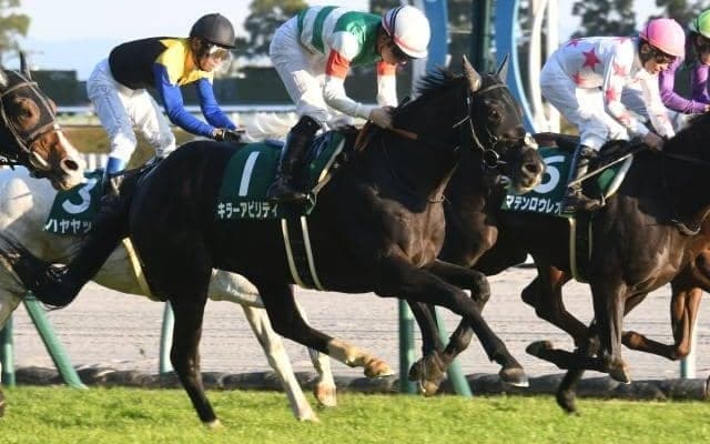 【中日新聞杯枠順確定】ヤマニンサルバムは4枠7番、ピンハイは8枠15番