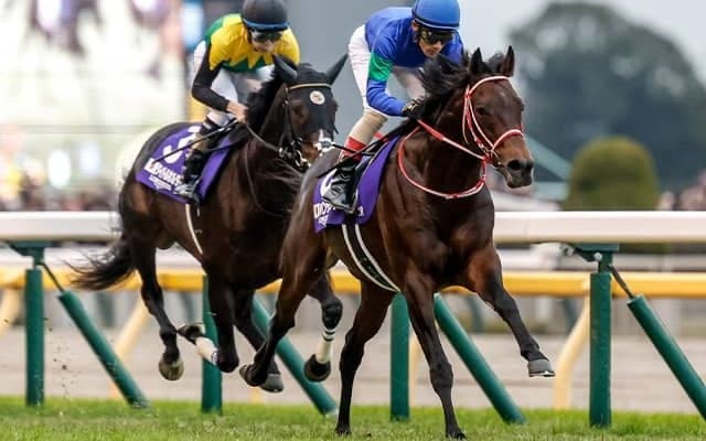 パンサラッサの引退式が12月23日に中山競馬場で開催 YouTubeなどで生中継