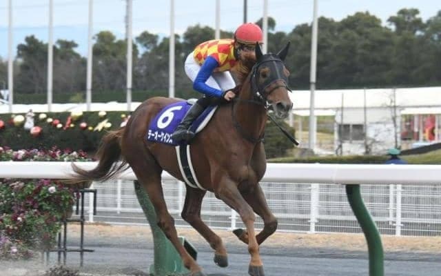 ダートGI/JpnIを3勝したテーオーケインズが引退 アロースタッドで種牡馬入りへ