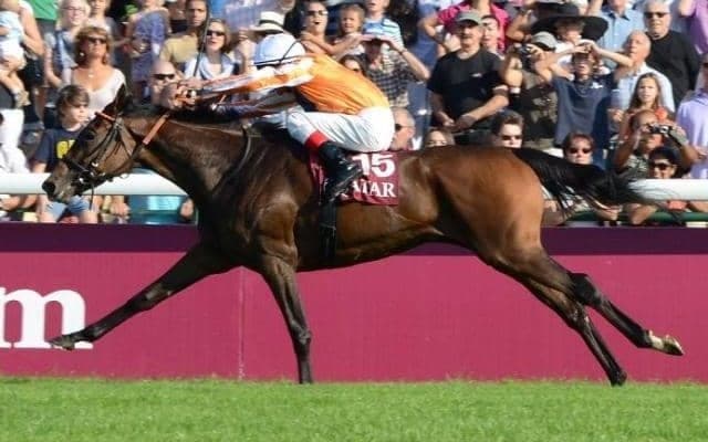 8月に急逝した偉大な母に吉報を届けるか 凱旋門賞馬の娘が土曜中山でデビュー