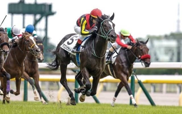 【阪神JF予想】難解な2歳GI、キーワードは「完成度」と「絶対能力」(古澤秀和)